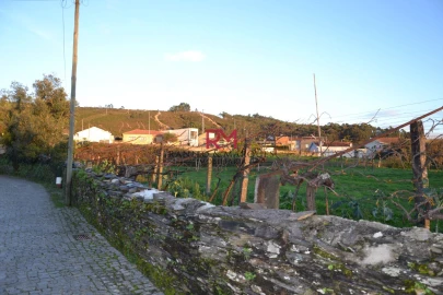 Terreno Agricola ou Rústico para Venda em Valongo