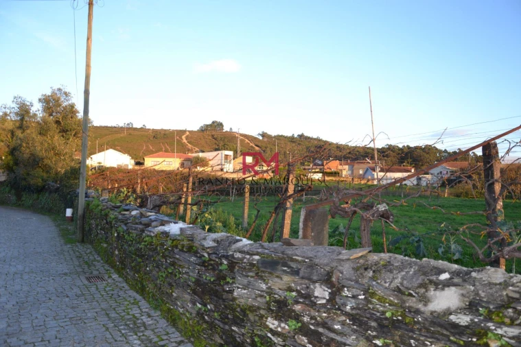 Terreno Agricola ou Rústico para Venda em Valongo Foto 7