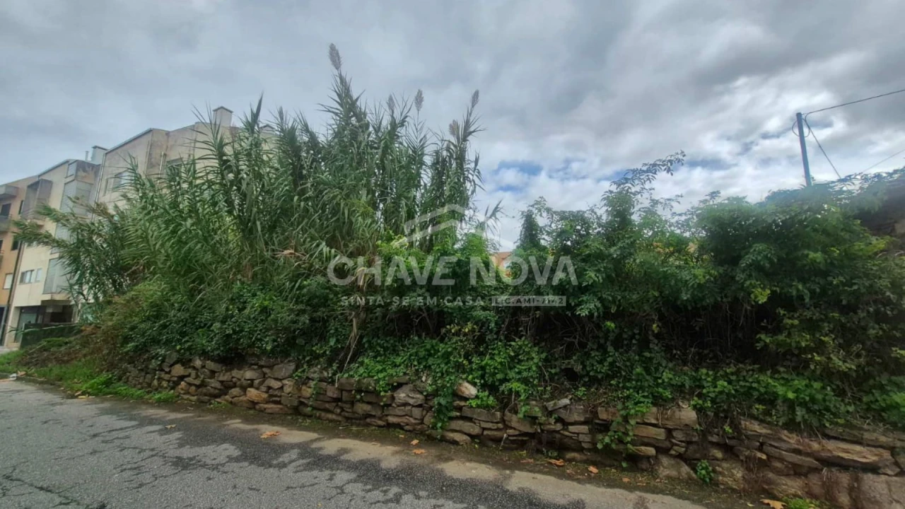 Terreno P/ Prédio para Venda em Espinho Foto 10
