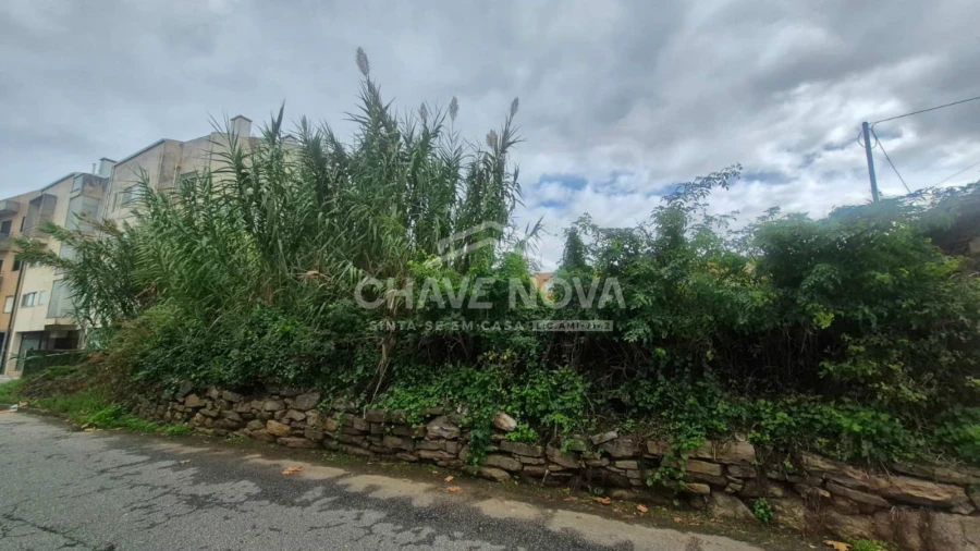 Terreno P/ Prédio para Venda em Espinho Foto 10
