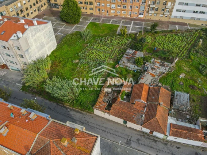 Terreno P/ Prédio para Venda em Espinho Foto 2