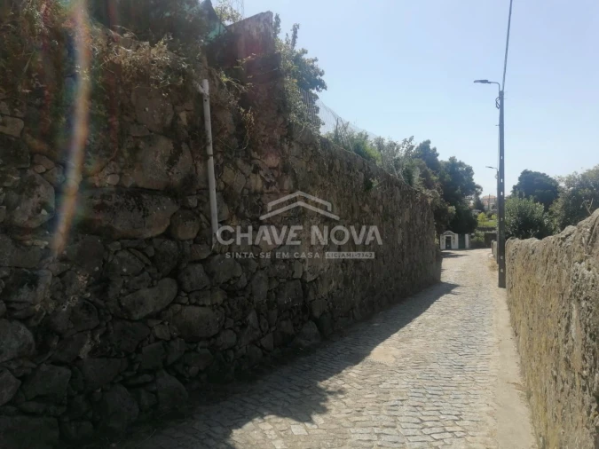 Terreno P/ Prédio para Venda em Arcozelo Foto 5