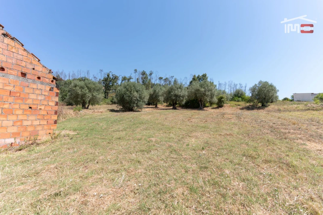 Terreno Misto para Venda em Rio de Couros e Casal dos Bernardos Foto 12