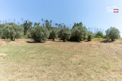 Terreno Misto para Venda em Rio de Couros e Casal dos Bernardos