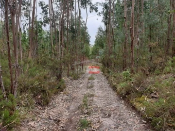 Terreno Misto para Venda em Alburitel