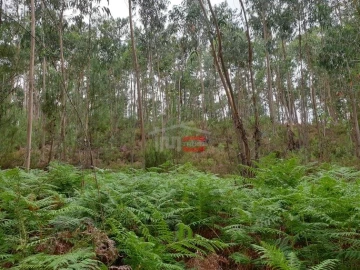 Terreno Misto para Venda em Alburitel