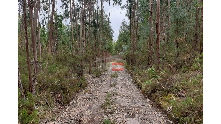 Terreno Misto para Venda em Alburitel