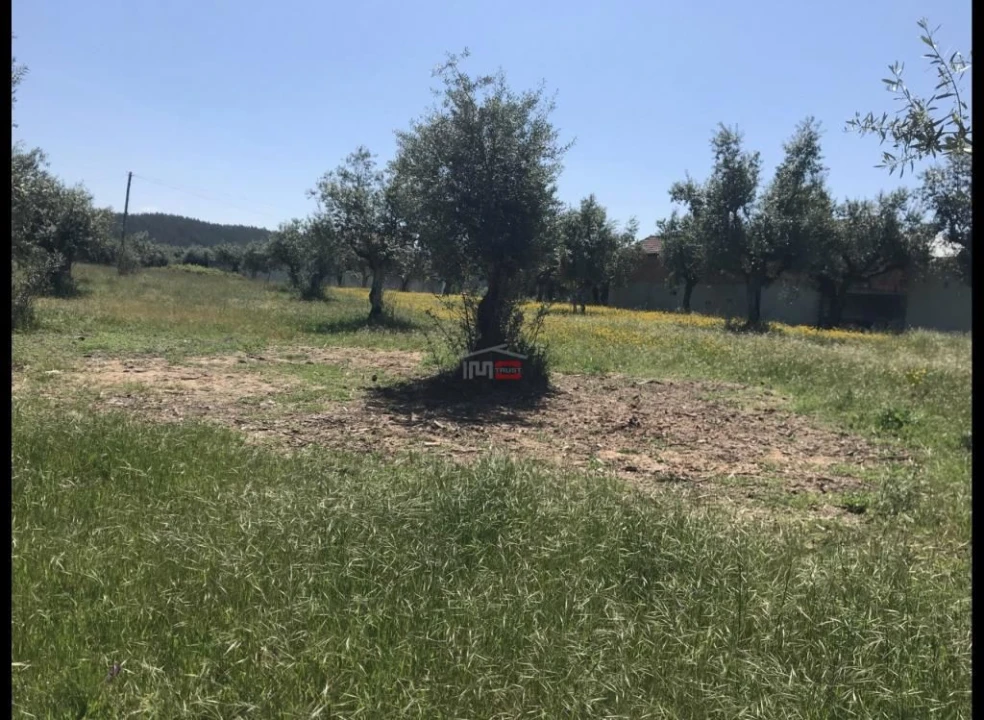 Terreno Misto para Venda em Alburitel Foto 2