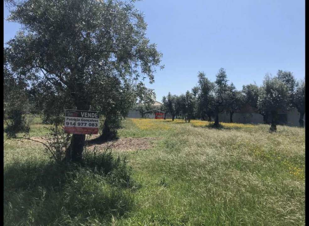 Terreno Misto para Venda em Alburitel Foto 3