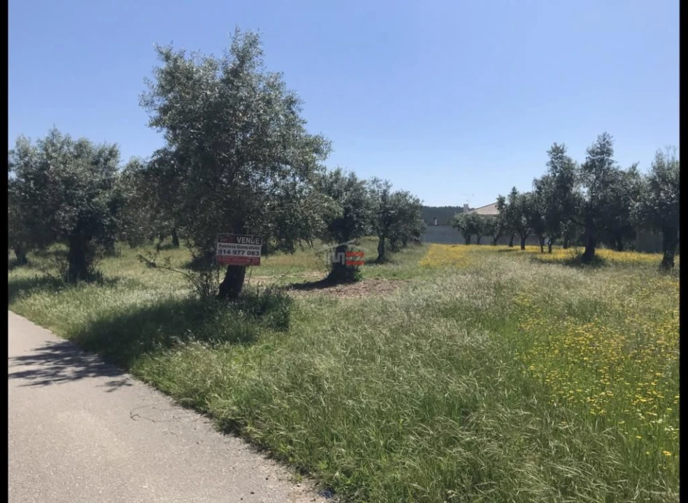 Terreno Misto para Venda em Alburitel Foto 4