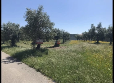 Terreno Misto para Venda em Alburitel
