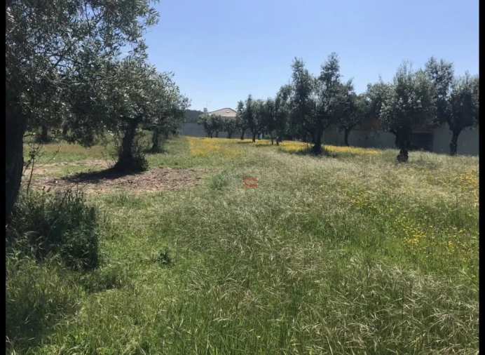 Terreno Misto para Venda em Alburitel