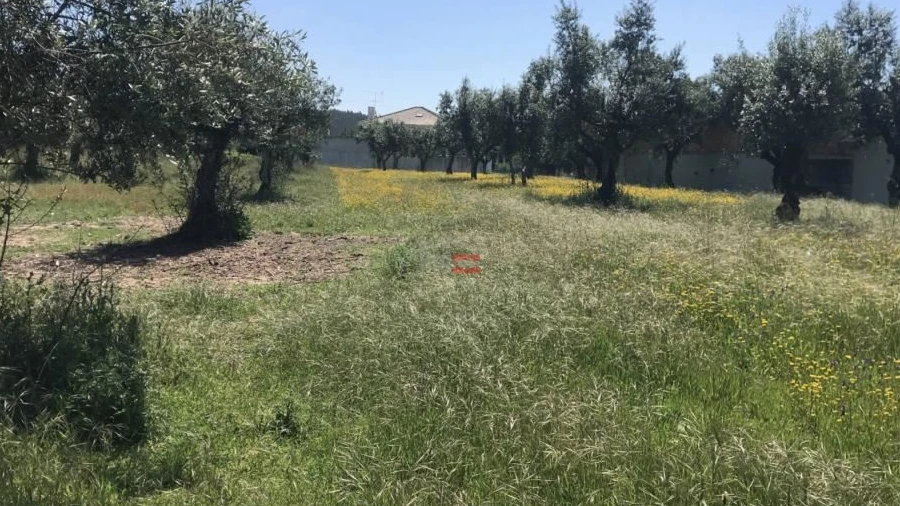 Terreno Misto para Venda em Alburitel