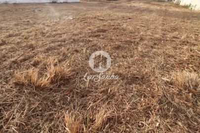 Terreno para Venda em Anta e Guetim