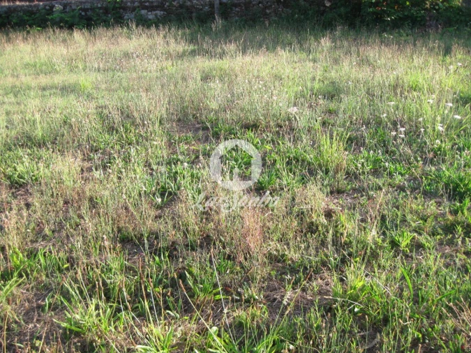 Terreno para Venda em Anta e Guetim Foto 3