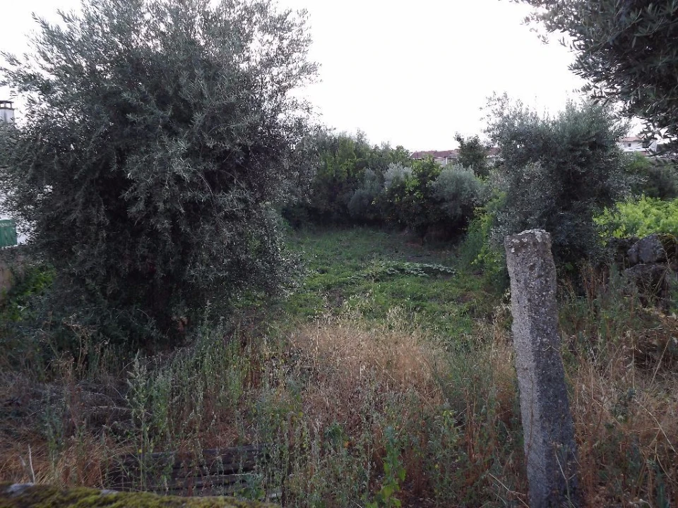 Terreno para Venda em Alcains Foto 2