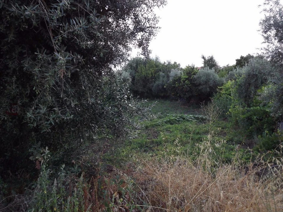 Terreno para Venda em Alcains Foto 4