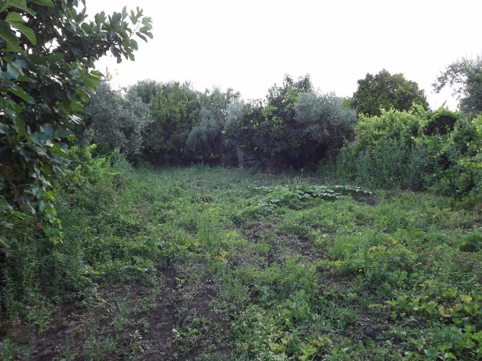 Terreno para Venda em Alcains Foto 3