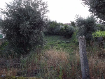 Terreno para Venda em Alcains