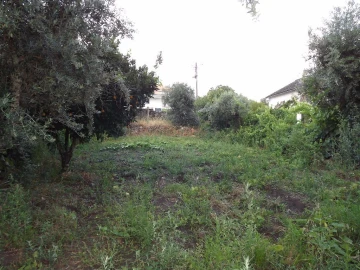 Terreno para Venda em Alcains