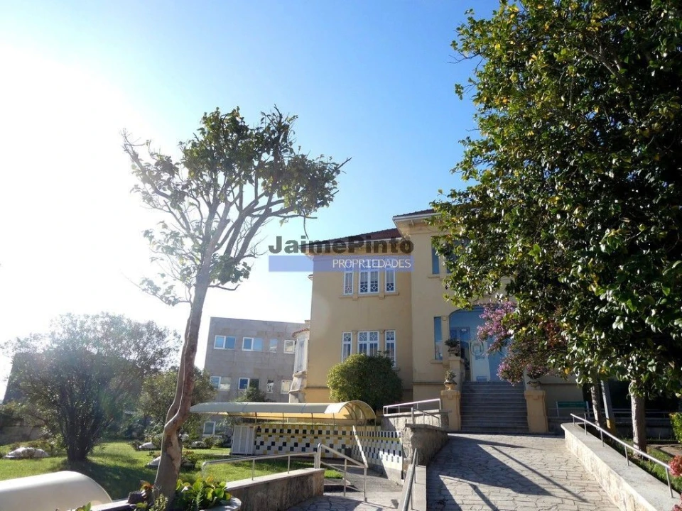 Terreno P/ Prédio para Venda em Paranhos Foto 1