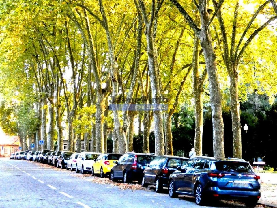 Terreno P/ Prédio para Venda em Paranhos Foto 5