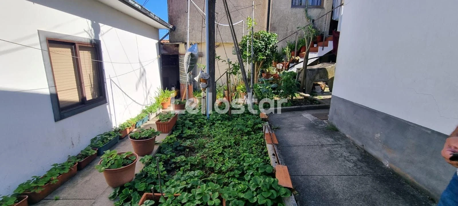 Moradia T2 para Venda em Oliveira do Douro Foto 15