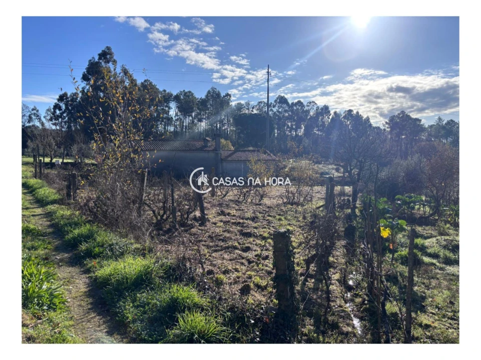 Terreno para Venda em Mundão Foto 2