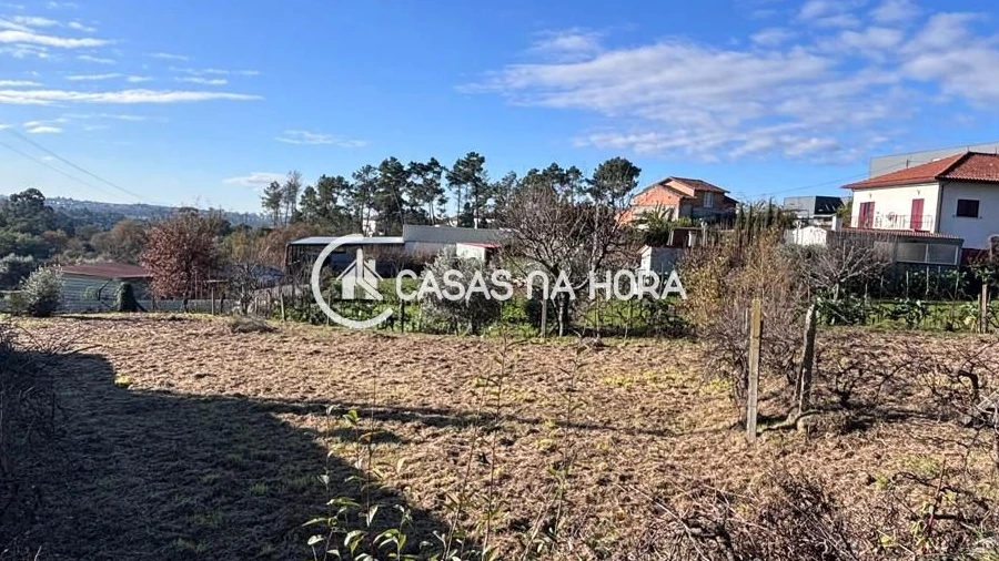Terreno para Venda em Mundão