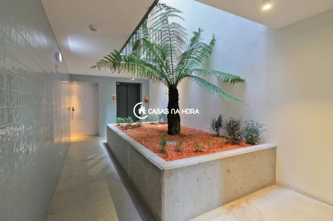 Apartamento T1 para Venda em Bonfim Foto 6