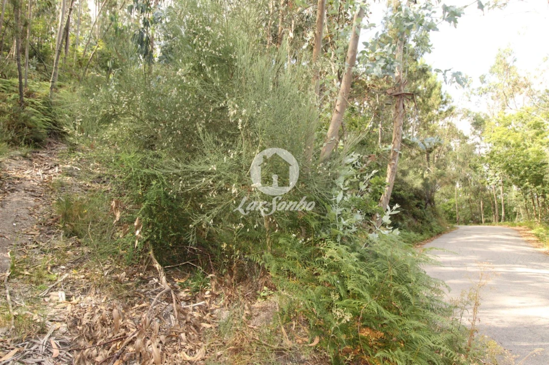Terreno Agricola ou Rústico para Venda em Borba da Montanha Foto 1