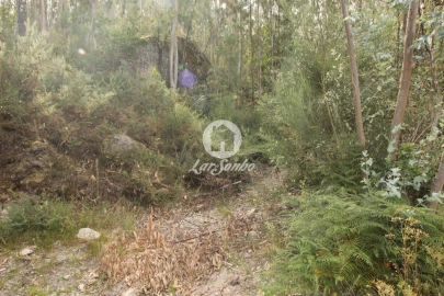 Terreno Agricola ou Rústico para Venda em Borba da Montanha