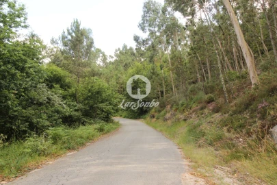 Terreno Agricola ou Rústico para Venda em Borba da Montanha