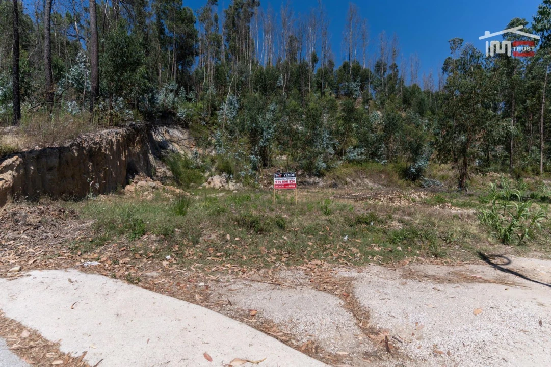 Terreno P/ Prédio para Venda em Caxarias Foto 11
