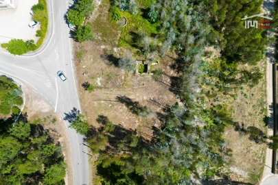 Terreno P/ Prédio para Venda em Caxarias
