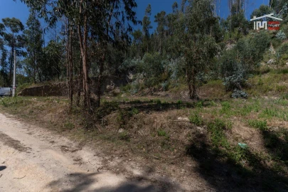 Terreno P/ Prédio para Venda em Caxarias