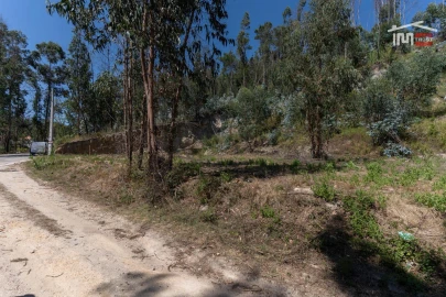 Terreno P/ Prédio para Venda em Caxarias