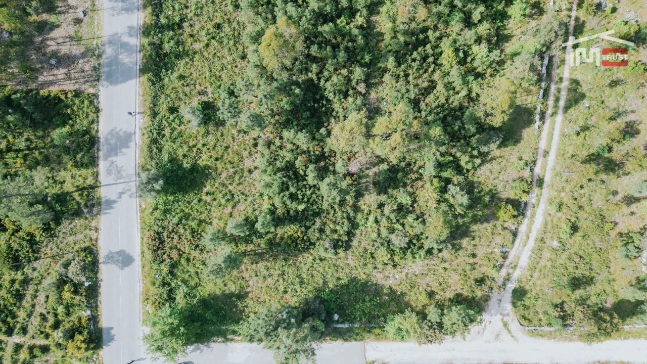 Terreno Agricola ou Rústico para Venda em Fatima Foto 2