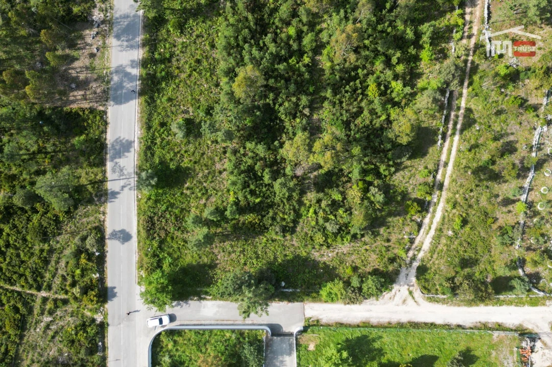 Terreno Agricola ou Rústico para Venda em Fatima Foto 4