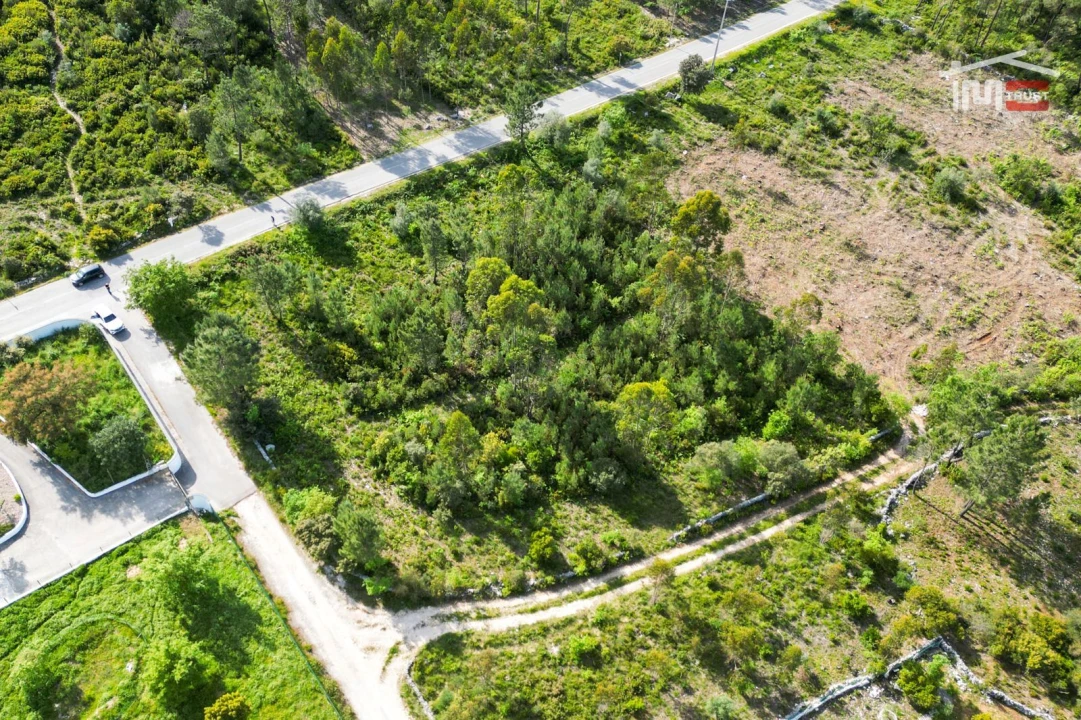 Terreno Agricola ou Rústico para Venda em Fatima Foto 5