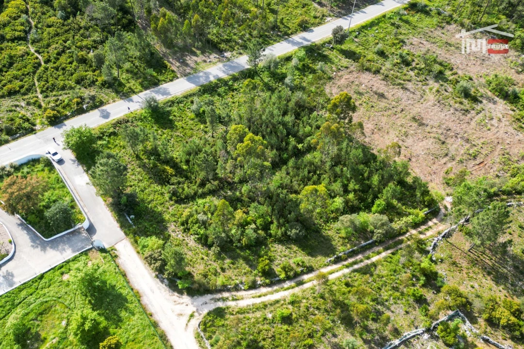 Terreno Agricola ou Rústico para Venda em Fatima Foto 6