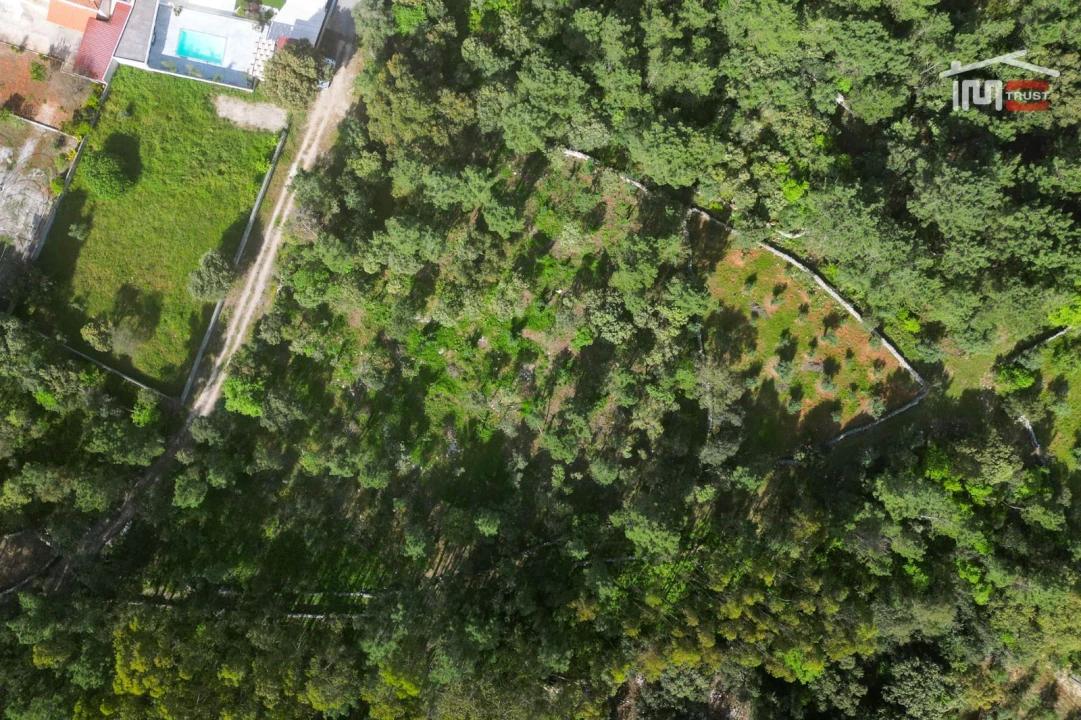 Terreno Agricola ou Rústico para Venda em Fatima Foto 8