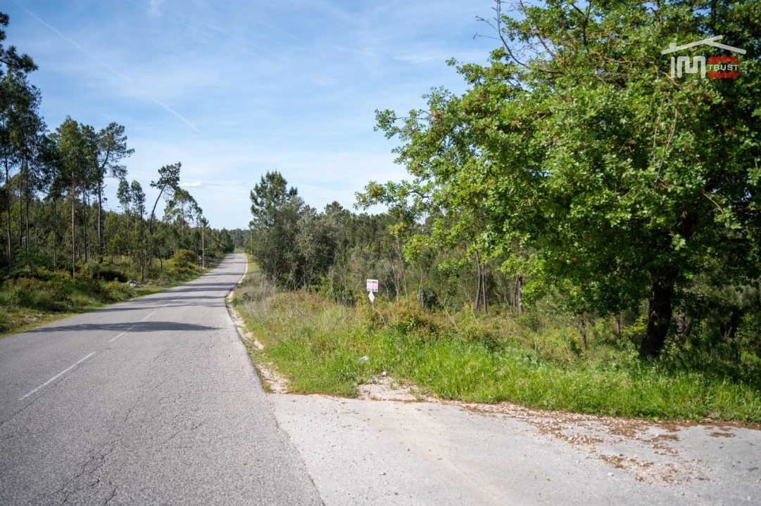 Terreno Agricola ou Rústico para Venda em Fatima Foto 10