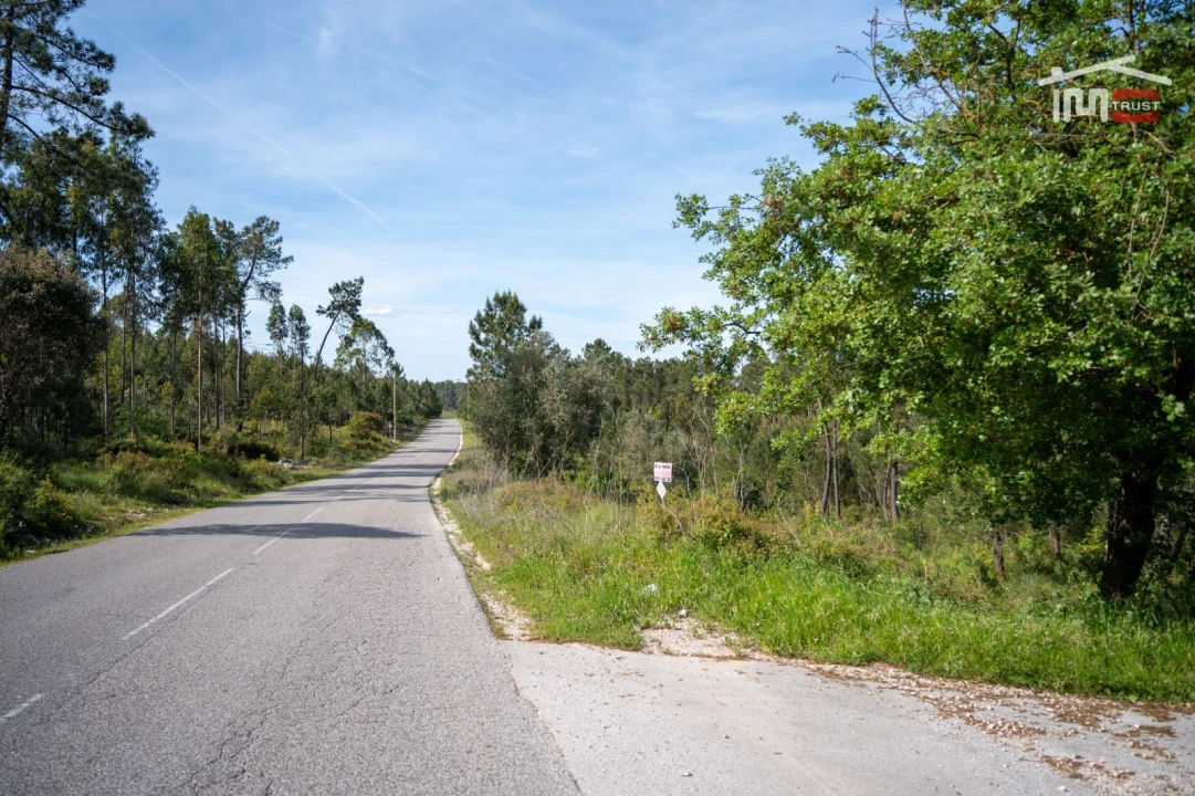 Terreno Agricola ou Rústico para Venda em Fatima Foto 9