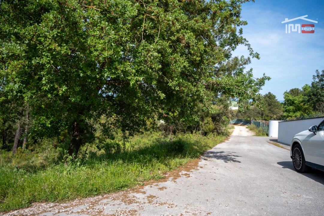 Terreno Agricola ou Rústico para Venda em Fatima Foto 11
