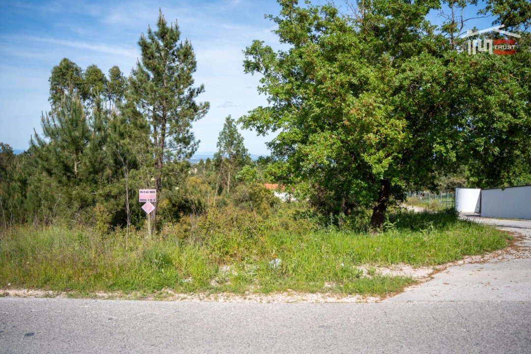 Terreno Agricola ou Rústico para Venda em Fatima Foto 13