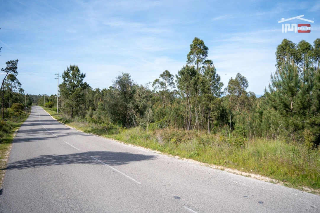 Terreno Agricola ou Rústico para Venda em Fatima Foto 14