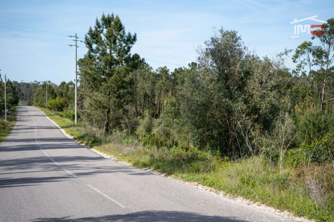 Terreno Agricola ou Rústico para Venda em Fatima Foto 16