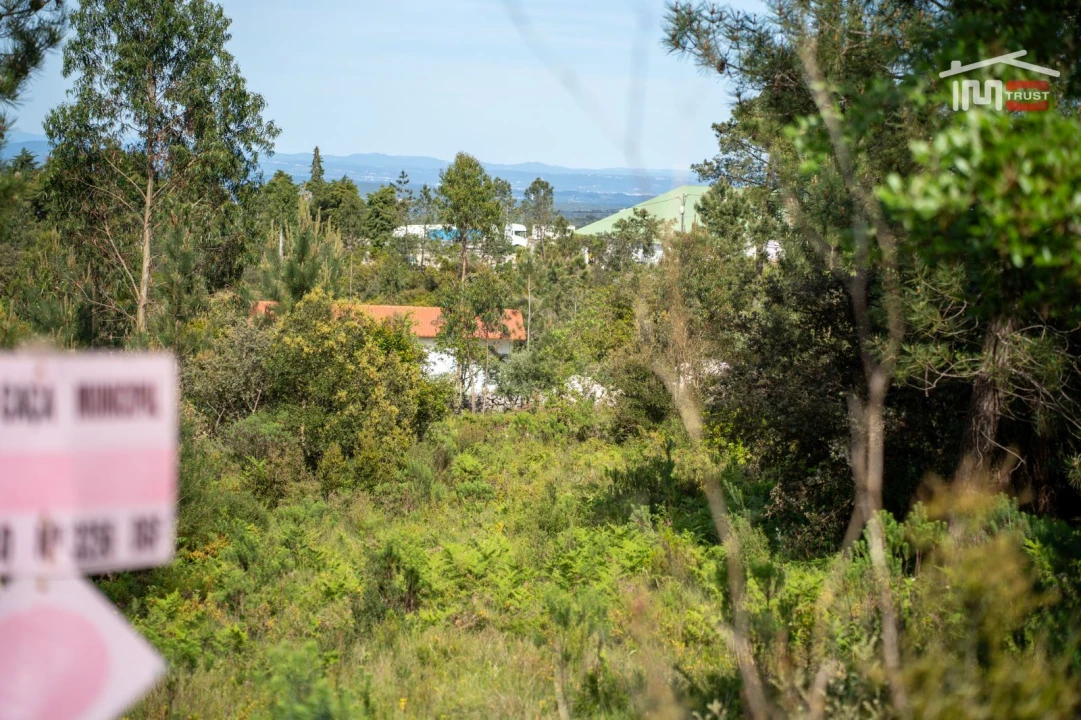 Terreno Agricola ou Rústico para Venda em Fatima Foto 18