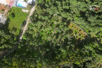 Terreno Agricola ou Rústico para Venda em Fatima